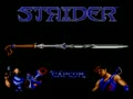 Strider (USA, Display Unit Sample) - Screen 5