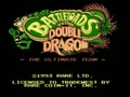 Battletoads & Double Dragon - The Ultimate Team (USA) - Screen 5