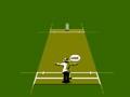 International Cricket (Aus) - Screen 4