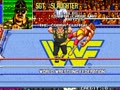 WWF WrestleFest (US set 1) - Screen 5