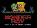 Wonder Boy (Euro, USA, Bra, v1) - Screen 5