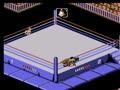 WWF WrestleMania Challenge (USA) - Screen 3