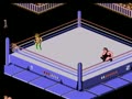 WWF WrestleMania Challenge (USA) - Screen 5
