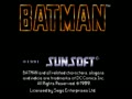 Batman (USA) - Screen 2