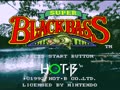 Super Black Bass (USA) - Screen 2