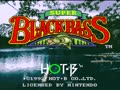 Super Black Bass (USA) - Screen 5