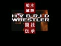 Funaki Masakatsu Hybrid Wrestler - Tougi Denshou (Jpn) - Screen 2