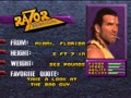 WWF WrestleMania - The Arcade Game (USA) - Screen 4