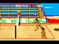 Malibu Bikini Volleyball (Euro, USA) - Screen 4