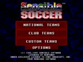 Sensible Soccer - European Champions (Euro, Prototype) - Screen 2