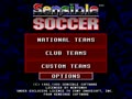 Sensible Soccer - European Champions (Euro, Prototype) - Screen 4