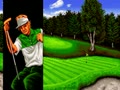 Top Player's Golf (NGM-003)(NGH-003)