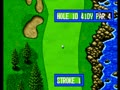 Top Player's Golf (NGM-003)(NGH-003) - Screen 4