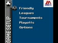 FIFA Soccer 96 (Euro, USA) - Screen 4