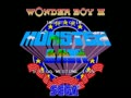 Wonder Boy III - Monster Lair (set 5, World, System 16B, 8751 317-0098) - Screen 1