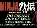 Ninja Gaiden III - The Ancient Ship of Doom (Euro, USA) - Screen 1