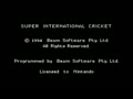 Super International Cricket (Euro) - Screen 1