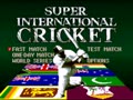 Super International Cricket (Euro) - Screen 2