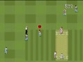 Super International Cricket (Euro) - Screen 4