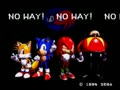 Sonic & Knuckles + Sonic the Hedgehog (World) - Screen 2