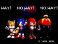 Sonic & Knuckles + Sonic the Hedgehog (World) - Screen 4