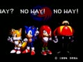 Sonic & Knuckles + Sonic the Hedgehog (World) - Screen 5