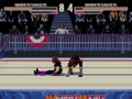 WWF WrestleMania - The Arcade Game (Euro, USA) - Screen 4