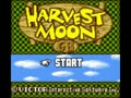 Harvest Moon GB (Ger) - Screen 4