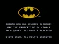 The Adventures of Batman & Robin (USA) - Screen 1