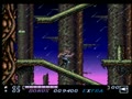 Wolfchild (USA) - Screen 4