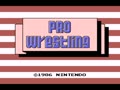 Pro Wrestling (USA) - Screen 1