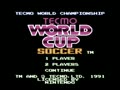 Tecmo World Cup Soccer (Euro) - Screen 5