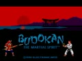 Budokan - The Martial Spirit (USA)