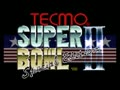 Tecmo Super Bowl II - Special Edition (USA) - Screen 2