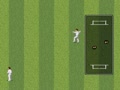 Brian Lara Cricket 96 (Euro, 199604) - Screen 4