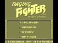 Raging Fighter (Euro, USA)