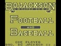 Bo Jackson 2 Games in 1 - Hit and Run! (USA) - Screen 2