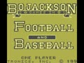 Bo Jackson 2 Games in 1 - Hit and Run! (USA) - Screen 5