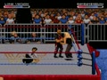 WWF Raw (World) - Screen 5