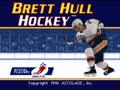 Brett Hull Hockey (Euro) - Screen 5