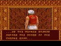 Prince of Persia 2 - The Shadow & The Flame (USA) - Screen 2