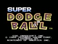 Super Dodge Ball (USA) - Screen 1