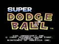 Super Dodge Ball (USA)