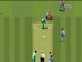 Super International Cricket (Euro, Prototype) - Screen 4