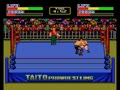 Champion Wrestler (Japan) - Screen 4