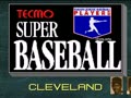 Tecmo Super Baseball (Jpn) - Screen 3