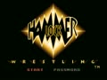 Hammerlock Wrestling (USA) - Screen 2