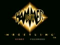 Hammerlock Wrestling (USA) - Screen 3