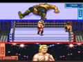 Hammerlock Wrestling (USA) - Screen 4