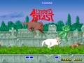 Altered Beast (set 6, 8751 317-0076) - Screen 4